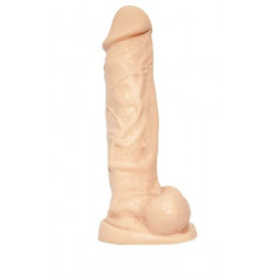 THE GLADIATOR  26.5 CM  X...