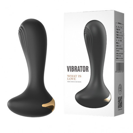 DORSET PROSTÁTICO VIBRADOR 10 FUNCIONES