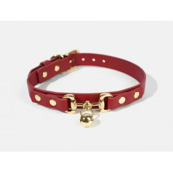 Collar winer con correa