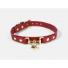 Collar winer con correa